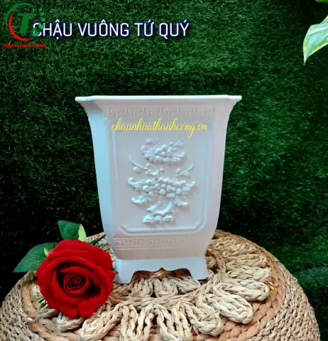 Sản phẩm Chậu vuông tứ quý ( mẫu mới )