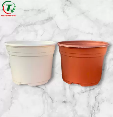 Sản phẩm Chậu có vành TTK 105 